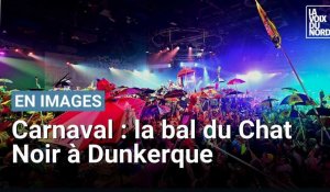 Carnaval de Dunkerque: la folie retrouvée au bal du Chat Noir