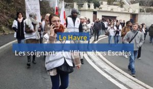 Au Havre, les soignants de l'Ehpad Les Escales manifestent leur ras-le-bol