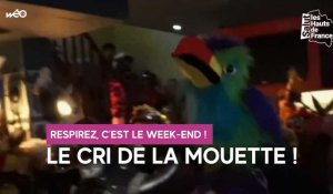 Dunkerque : le championnat du monde du cri de la mouette !