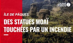 VIDÉO. Un incendie sur l'Île de Pâques a endommagé les célèbres statues Moaï