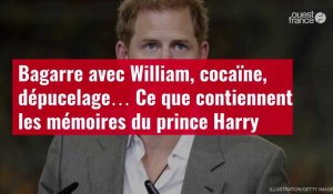 VIDÉO. Bagarre avec William, cocaïne, dépucelage… Ce que contiennent les mémoires du prince Harry