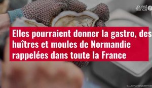 VIDÉO. Elles pourraient donner la gastro, des huîtres et moules de Normandie rappelées dan