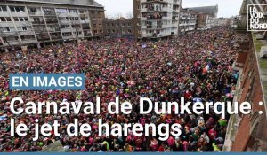 Carnaval de Dunkerque : jet de harengs à Cappelle-la-Grande 