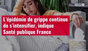 VIDÉO. L’épidémie de grippe continue de s’intensifier, indique Santé publique France