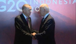 Erdogan rencontre Joe Biden au sommet des dirigeants du G20 à Bali