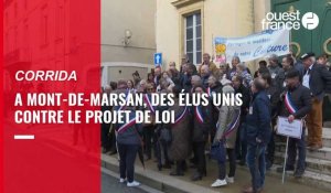 VIDEO. A Paris et Mont-de-Marsan, partisans et opposants à la corrida s'affrontent lors de manifestations
