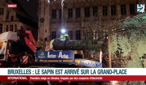 Bruxelles: le sapin de Noël est arrivé sur la Grand-Place