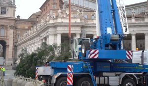 Vatican: un sapin de Noël est installé sur la place Saint-Pierre