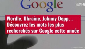VIDÉO. Wordle, Ukraine, Johnny Depp… Découvrez les mots les plus recherchés sur Google cet année