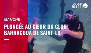 VIDÉO. Au club Le Barracuda à Saint-Lô, ils s'entraînent à plonger pour le plaisir 