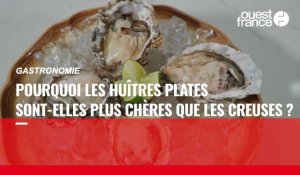 VIDÉO. Pourquoi les huîtres plates sont-elles plus chères que les huîtres creuses ? 