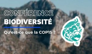 Qu'est-ce que la COP15 ?