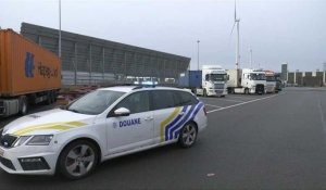 Près de 110 tonnes de cocaïne saisies en 2022 dans le port d'Anvers, nouveau record