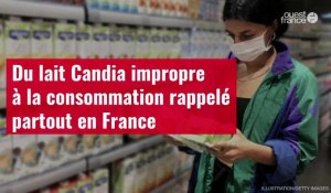 VIDÉO. Du lait Candia impropre à la consommation rappelé partout en France