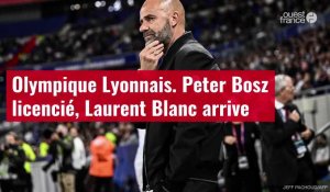 VIDÉO. OL : Peter Bosz licencié, Laurent Blanc arrive