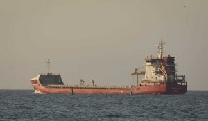 Céréales : des navires continuent de quitter les ports ukrainiens malgré le retrait russe