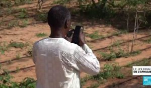 Niger : une ferme connectée pour limiter le gaspillage de l'eau