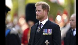 Prince Harry : on connaît enfin la date de publication de ses mémoires