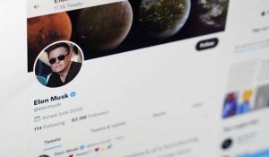 Sauf rebondissement, l'oiseau bleu de Twitter bientôt entre les mains d'Elon Musk
