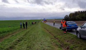 Un automobiliste héliporté après une sortie de route à Saint-Ouen-Domprot