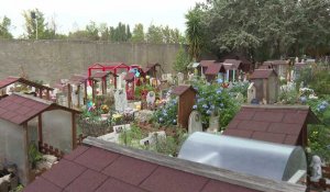 Italie: à Rome, le plus ancien cimetière pour animaux du pays fête ses 100 ans
