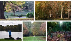 Lille et la métropole : 5 lieux où admirer l'automne
