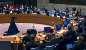 Haïti: le Conseil de sécurité de l'ONU adopte à l'unanimité un régime de sanctions contre des gangs