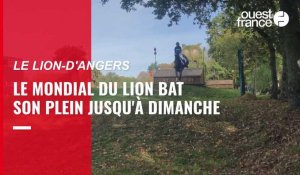 Le Mondial du Lion bat son plein ce week-end au Lion-d'Angers