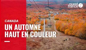 VIDÉO. Les magnifiques images de l'automne au Québec