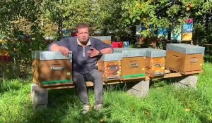 Landas : un apiculteur évoque la sécheresse de l’été et les frelons asiatiques encore présents