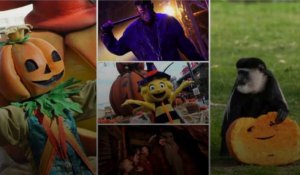 10 idées pour fêter Halloween en Belgique