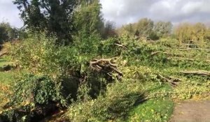 Le parc Saint-Pierre défiguré après le passage d’une tempête à Amiens