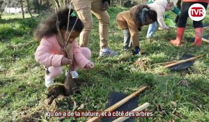 VIDÉO. À Saint-Malo, les enfants de CP plantent des centaines d'arbres