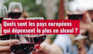 VIDÉO. Quels sont les pays européens qui dépensent le plus en alcool ?