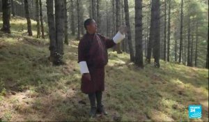Transition énergétique : le Bhoutan, champion discret de l'empreinte carbone