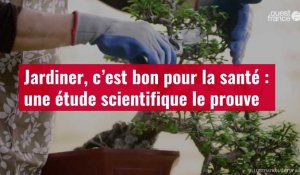 VIDÉO. Jardiner, c’est bon pour la santé : une étude scientifique le prouve