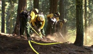Les pompiers se battent pour sauver les séquoias de Yosemite