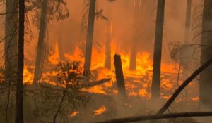 Etats-Unis: le feu ravage le Parc Yosemite en Californie
