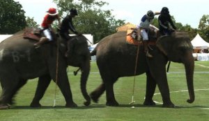 Jouer au polo en Thaïlande, oui, mais à dos d'éléphants
