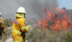 Australie: les pompiers réunissent deux énormes incendies