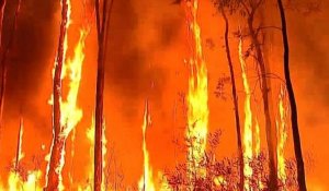 Australie: des incendies dévastent des centaines de maisons