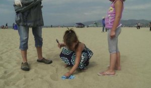 Los Angeles: des volontaires ont nettoyé les plages de la ville