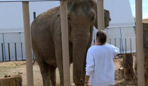 Monaco: nouvelle vie pour les éléphantes Baby et Népal