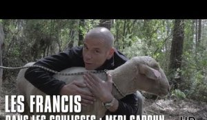 Les Francis - Dans les coulisses : Medi Sadoun