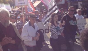 Manifestation pour Nantes en Bretagne