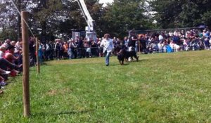 Fête de la chasse et de la pêche à Carrouges