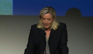 Régionales dans le Nord-Pas-de-Calais: Marine Le Pen candidate