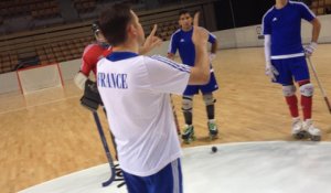 Championnat du monde de rink-hockey