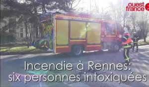 Incendie à Rennes dans un immeuble près des Horizons. Le chien alerte sa maitresse