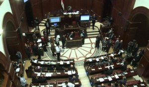 Egypte: début du vote final sur la Constitution